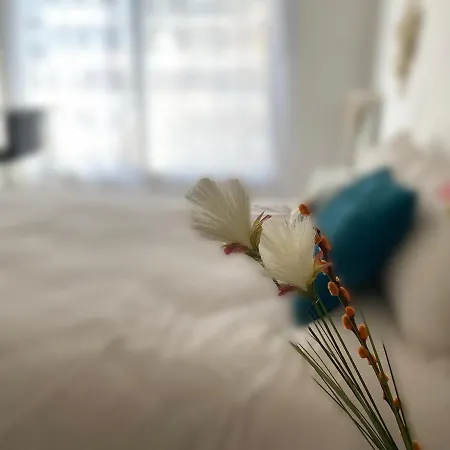 Cocon D'amour - דירה *