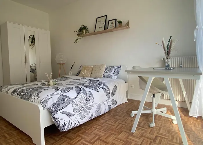 Cocon D'amour - * Le Mans