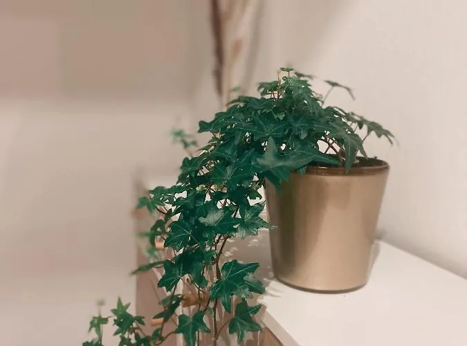 Cocon D'amour - Apartamento Le Mans