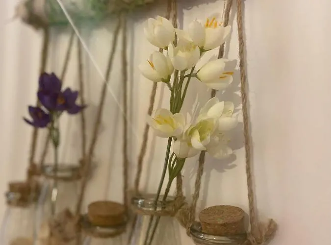 Cocon D'amour - Apartamento Le Mans