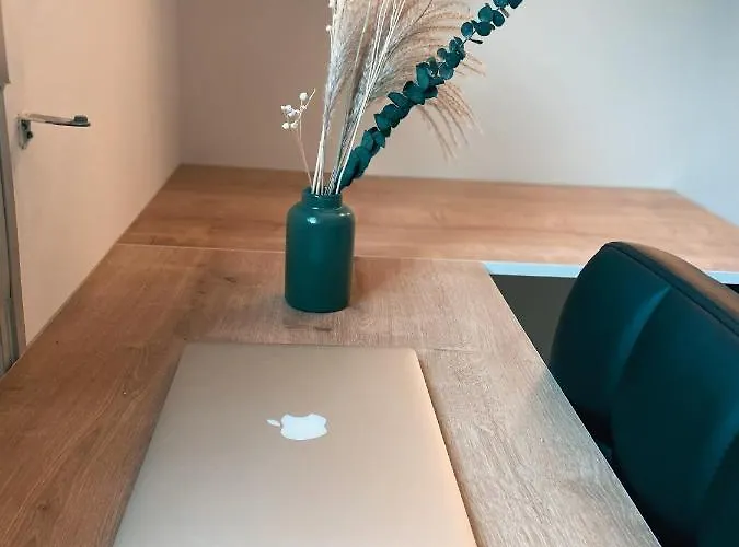 Cocon D'amour - Le Mans