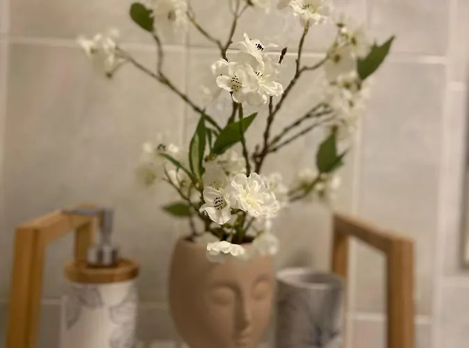 Cocon D'amour - * Le Mans